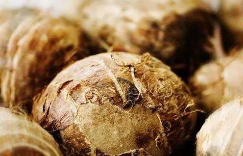 逛展會,看攻略,2020農博會參觀必備