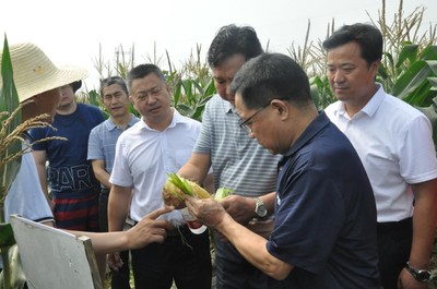 2021武漢種業(yè)博覽會&middot;鮮食玉米產(chǎn)業(yè)大會在省現(xiàn)代農(nóng)業(yè)展示中心成功舉辦