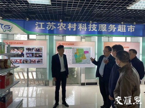 破解無人種地困境,泰州建1.3萬家農(nóng)民合作社和家庭農(nóng)場