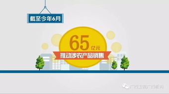 廣西重點(diǎn)建設(shè)36個(gè)電商進(jìn)農(nóng)村綜合示范縣 涉農(nóng)產(chǎn)品銷售65億元