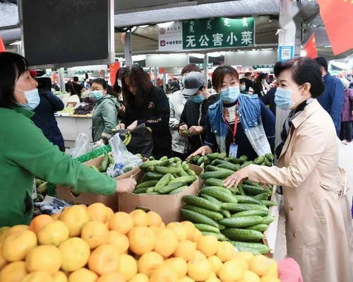 王莉霞在調(diào)研我市節(jié)日市場(chǎng)時(shí)強(qiáng)調(diào) 要牢固樹(shù)立以人民為中心的發(fā)展思想 全力保障群眾買得放心吃得安心