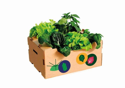 農產品也需要做一個有產品品牌戰略思考的產品