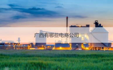 廣西有哪些電商公司 電商企業(yè)業(yè)務內(nèi)容