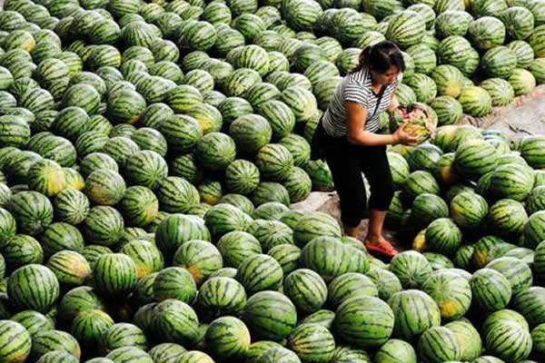 農(nóng)產(chǎn)品滯銷令人心痛,產(chǎn)地無人問津 銷售地鳳毛麟角,怎么辦