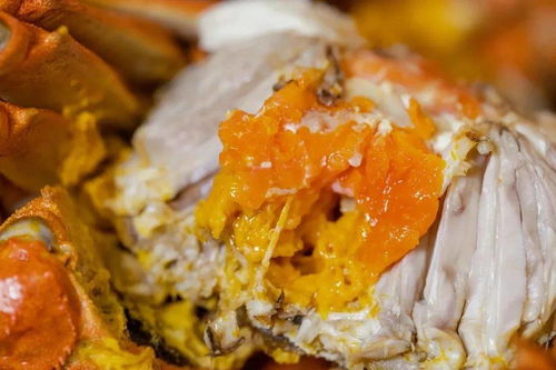 購買崇明優品,認準山水標志 崇明世界級生態島遞出農產品名片