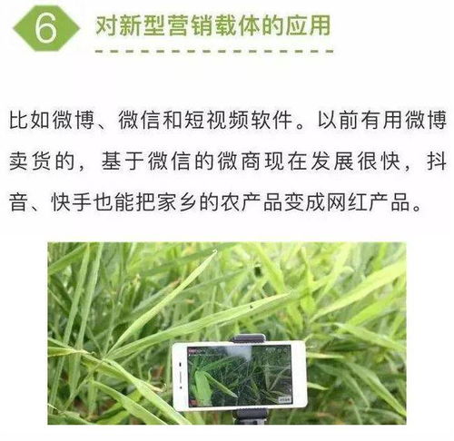 農業七大新型營銷模式，學會一個家禽銷售就能賺不少